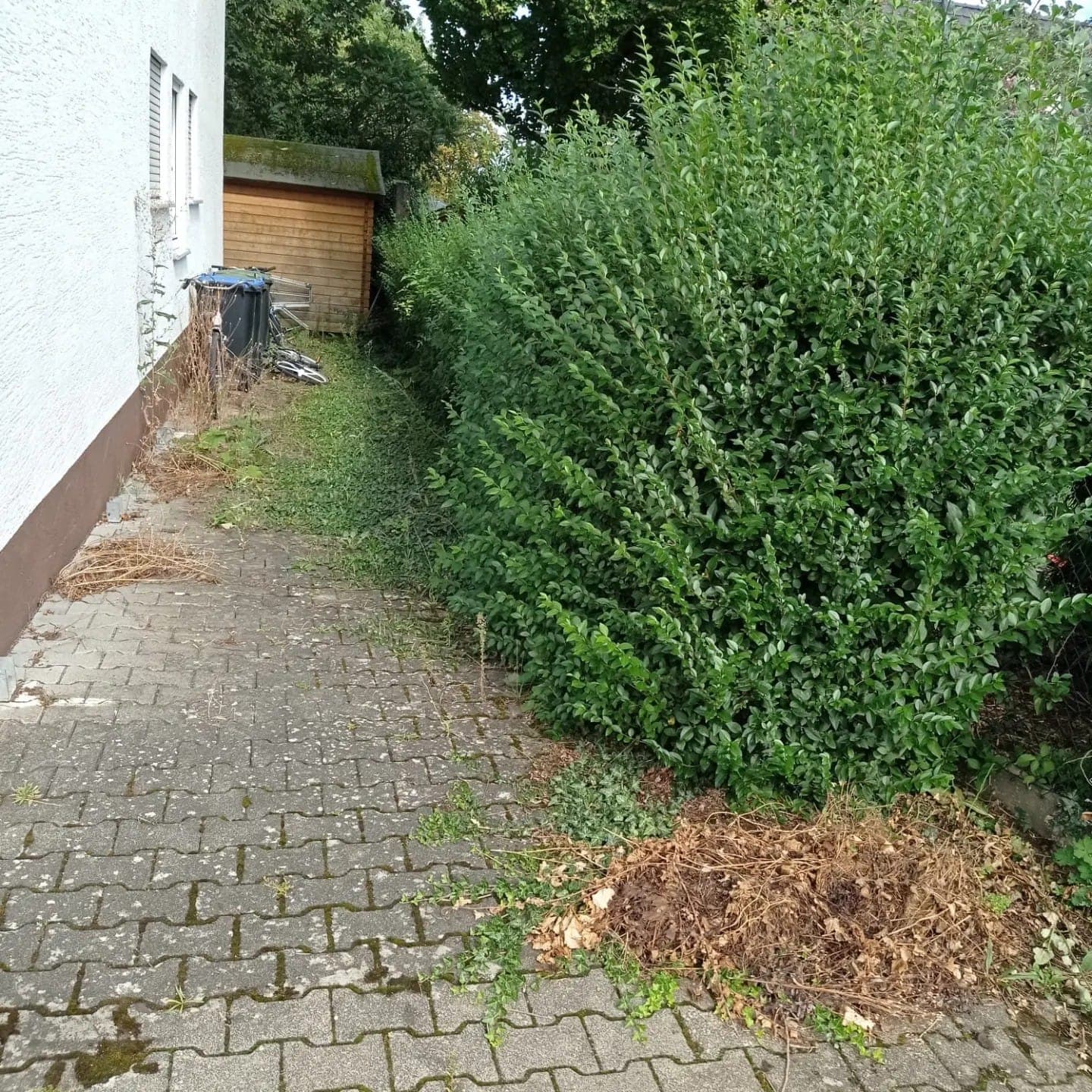 Vorher